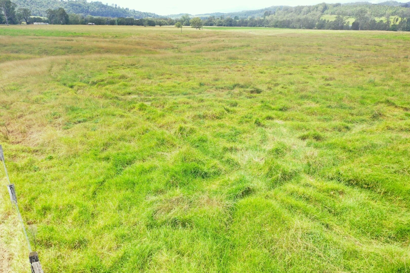 7183 Brays Road, Kyogle NSW 2474 House for Sale Domain