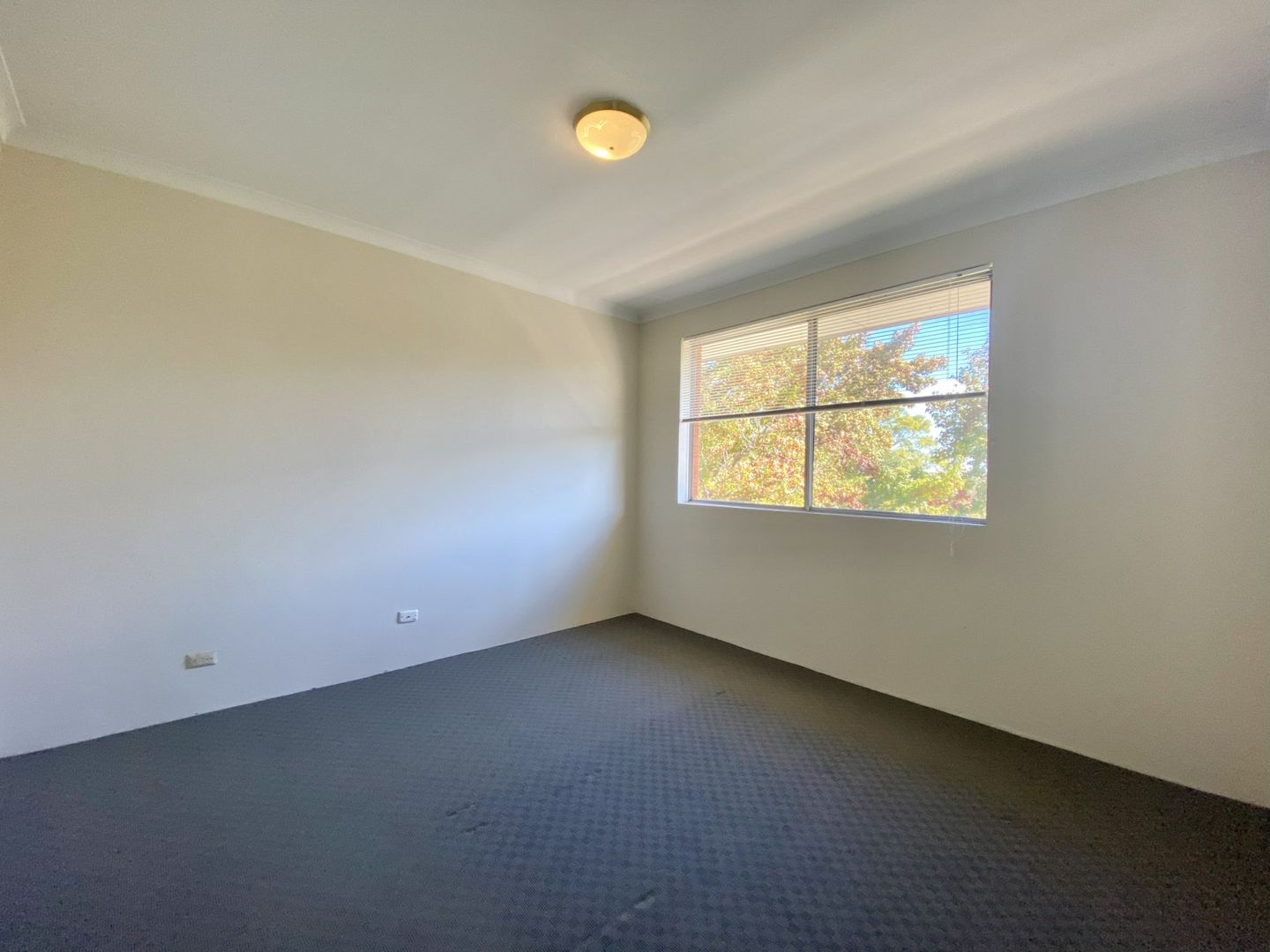 5/168 Croydon Avenue, Croydon Park NSW 2133 Apartment For Rent Domain