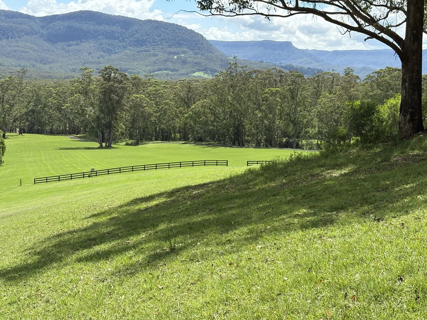 Image 18