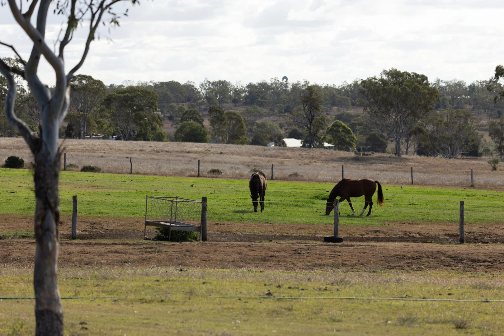 Image 15