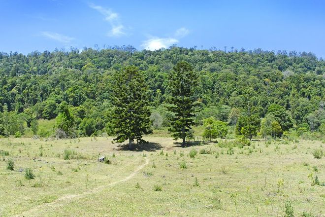 Picture of Lot 2 - 321 Flying Fox Rd, FLYING FOX QLD 4275
