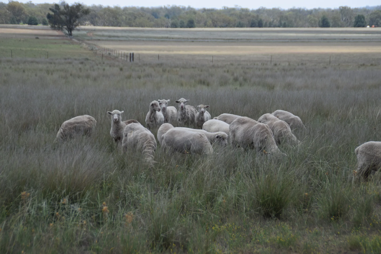 Image 28
