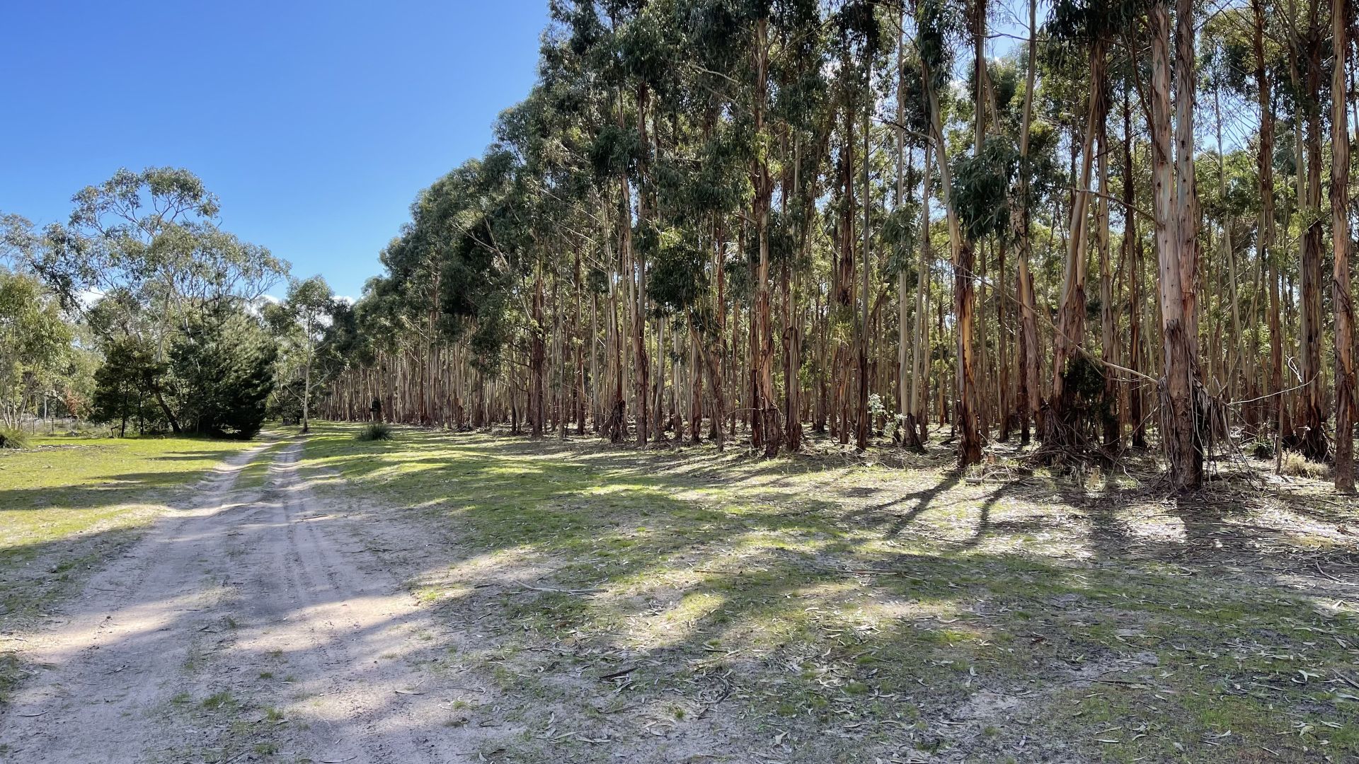 Lot 81 Old Comaum Road, Coonawarra SA 5263, Image 1