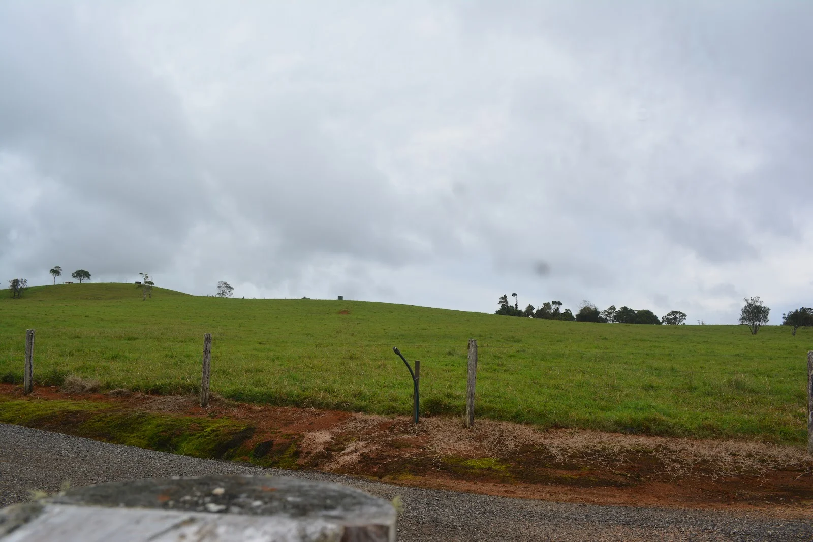 Image 23