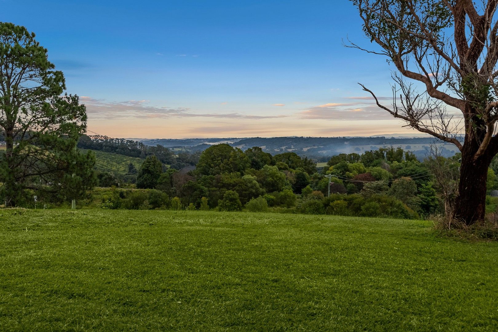 37 Wiley Road, Bangalow NSW 2479, Image 0
