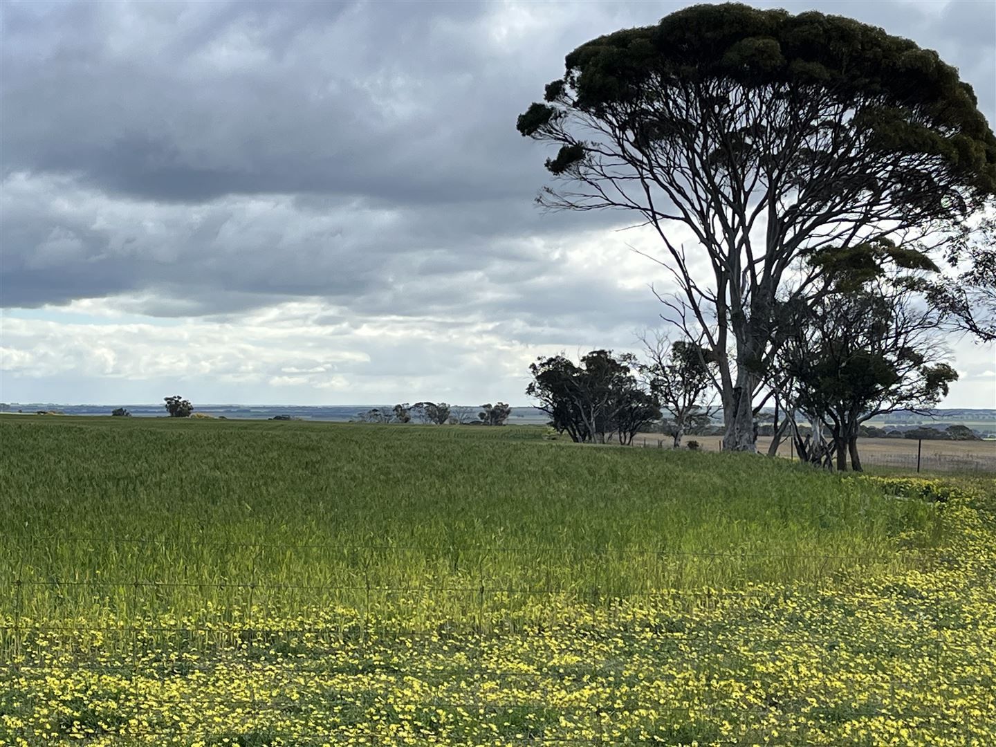 . 'Meadowcroft', Cunderdin WA 6407, Image 2