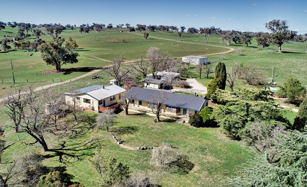 2664 Mitchell Highway, Molong NSW 2866