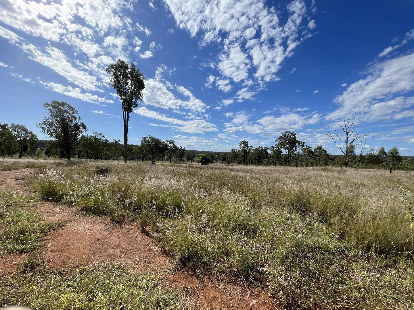 Nogo River Road, Eidsvold QLD 4627, Image 1