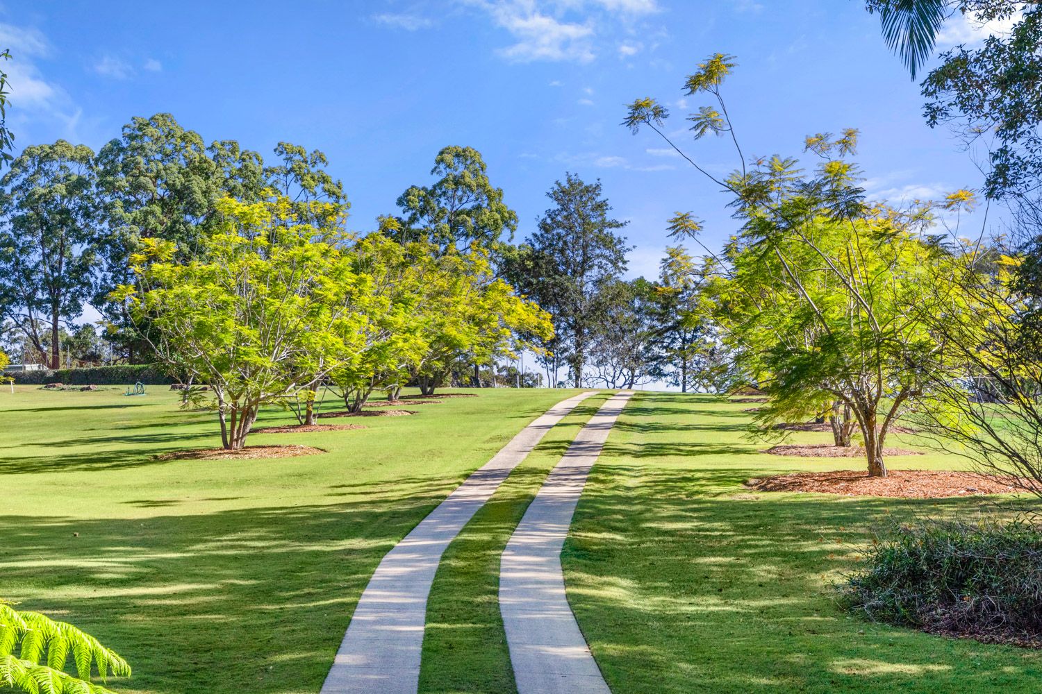 2852 Robinson Road, Eudlo QLD 4554 House for Sale Domain