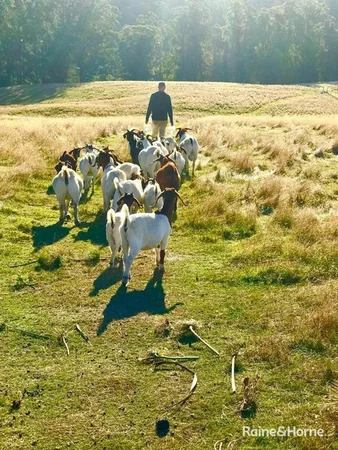 Additional image 36 of 292 Fire Tower Road, Koonya TAS 7187