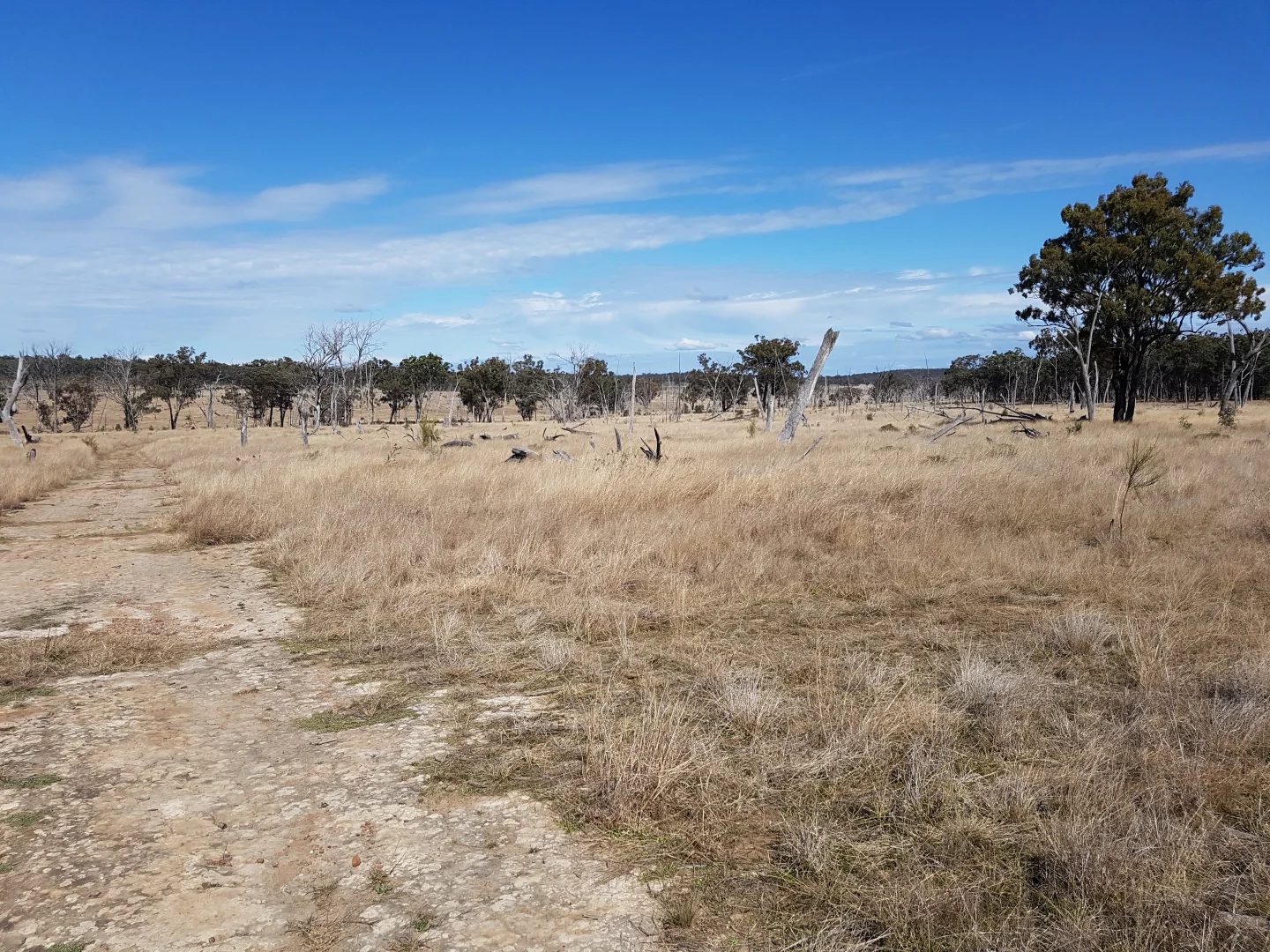 Image 38