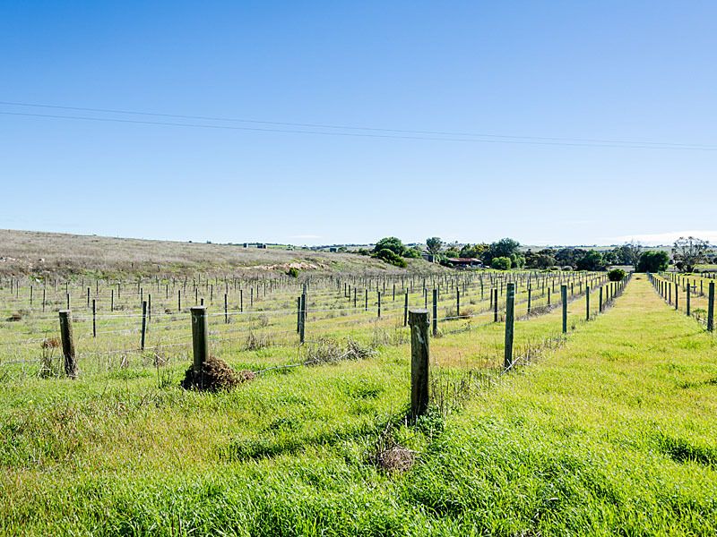 62 Chaunceys Line Road, Hartley SA 5255, Image 1