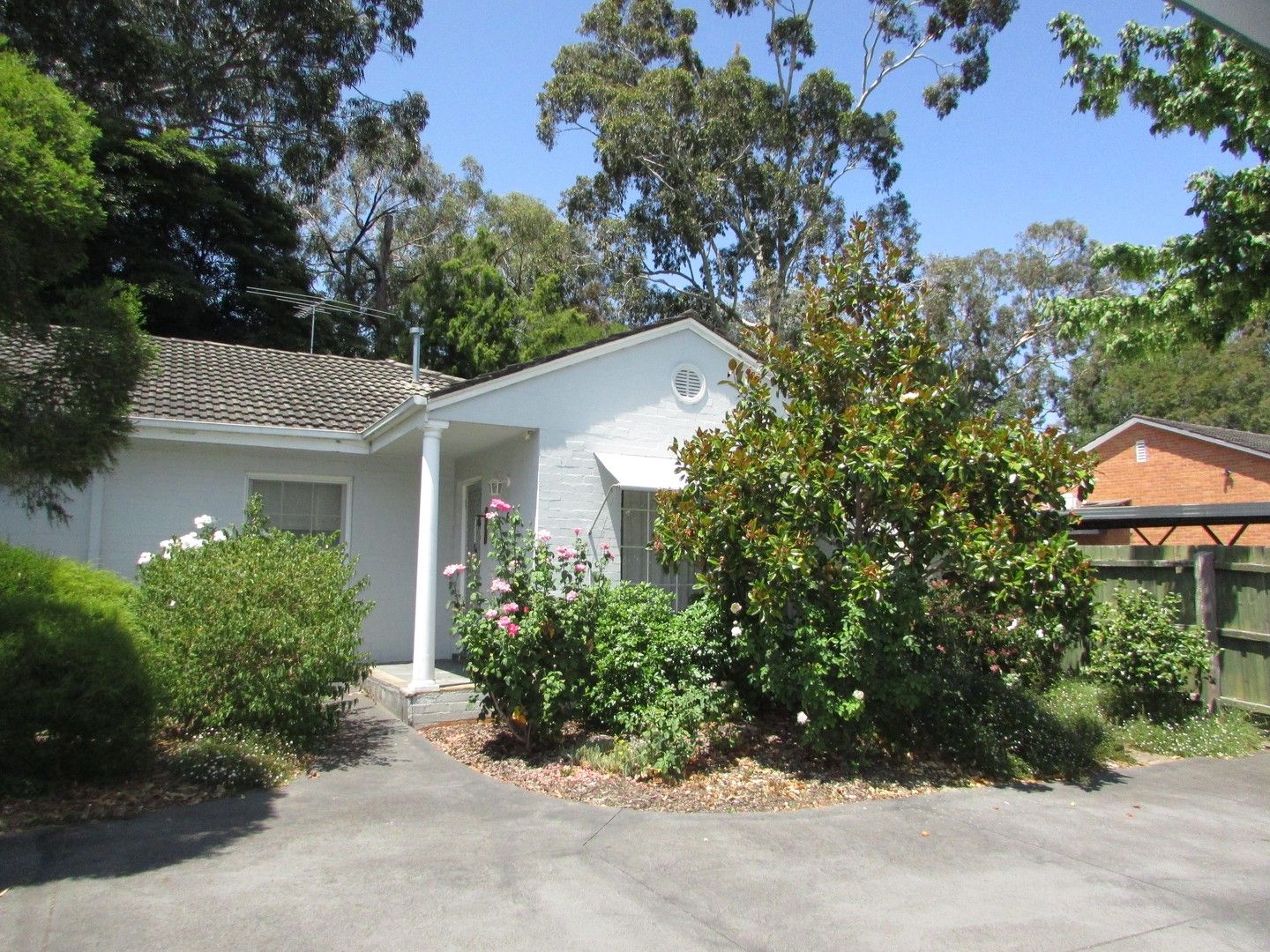 2 bedrooms Apartment / Unit / Flat in 6/20A Laburnum Street BLACKBURN VIC, 3130