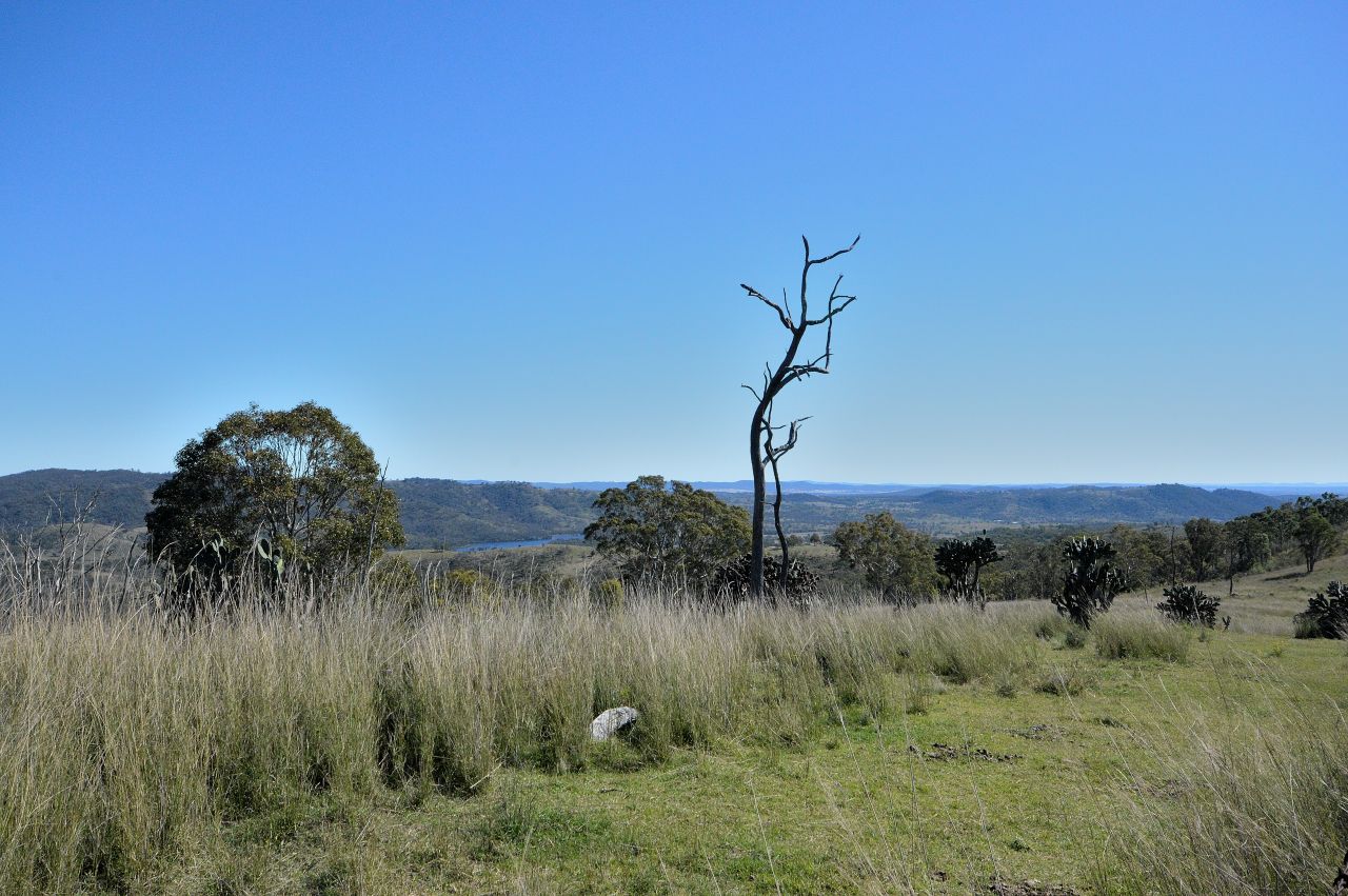 Specialist Farm in 0 Kings Road, WILDASH QLD, 4370