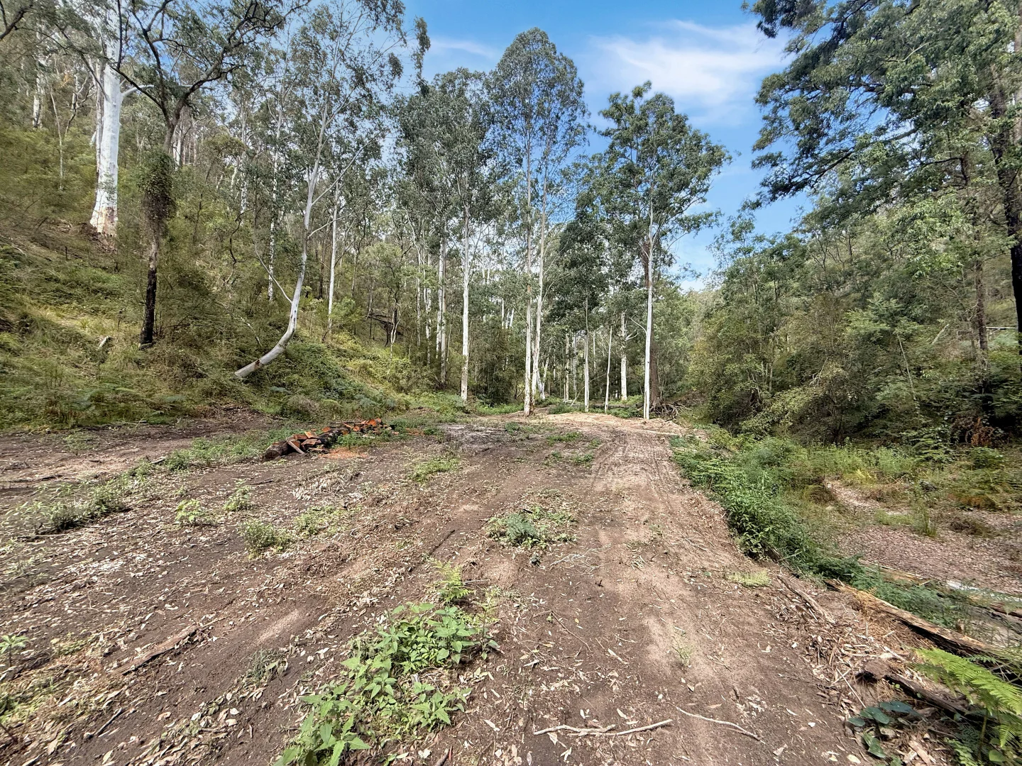 Image 12