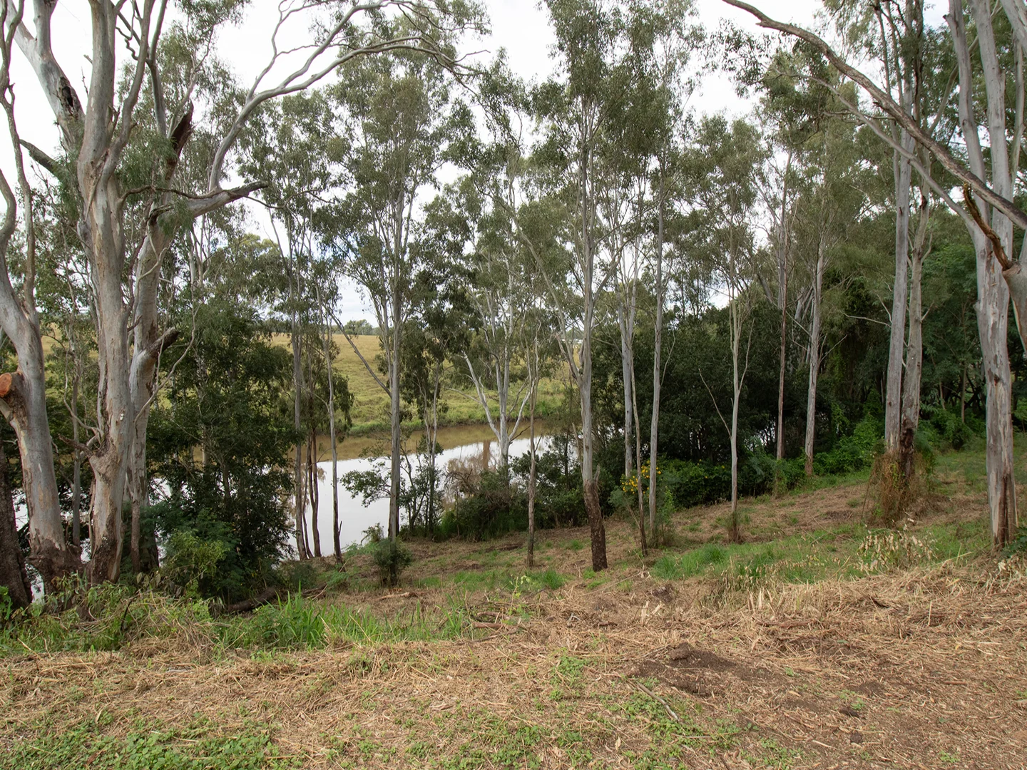 Image 12