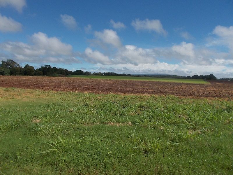 4749 Gillies Range Road, East Barron QLD 4883 House for Sale