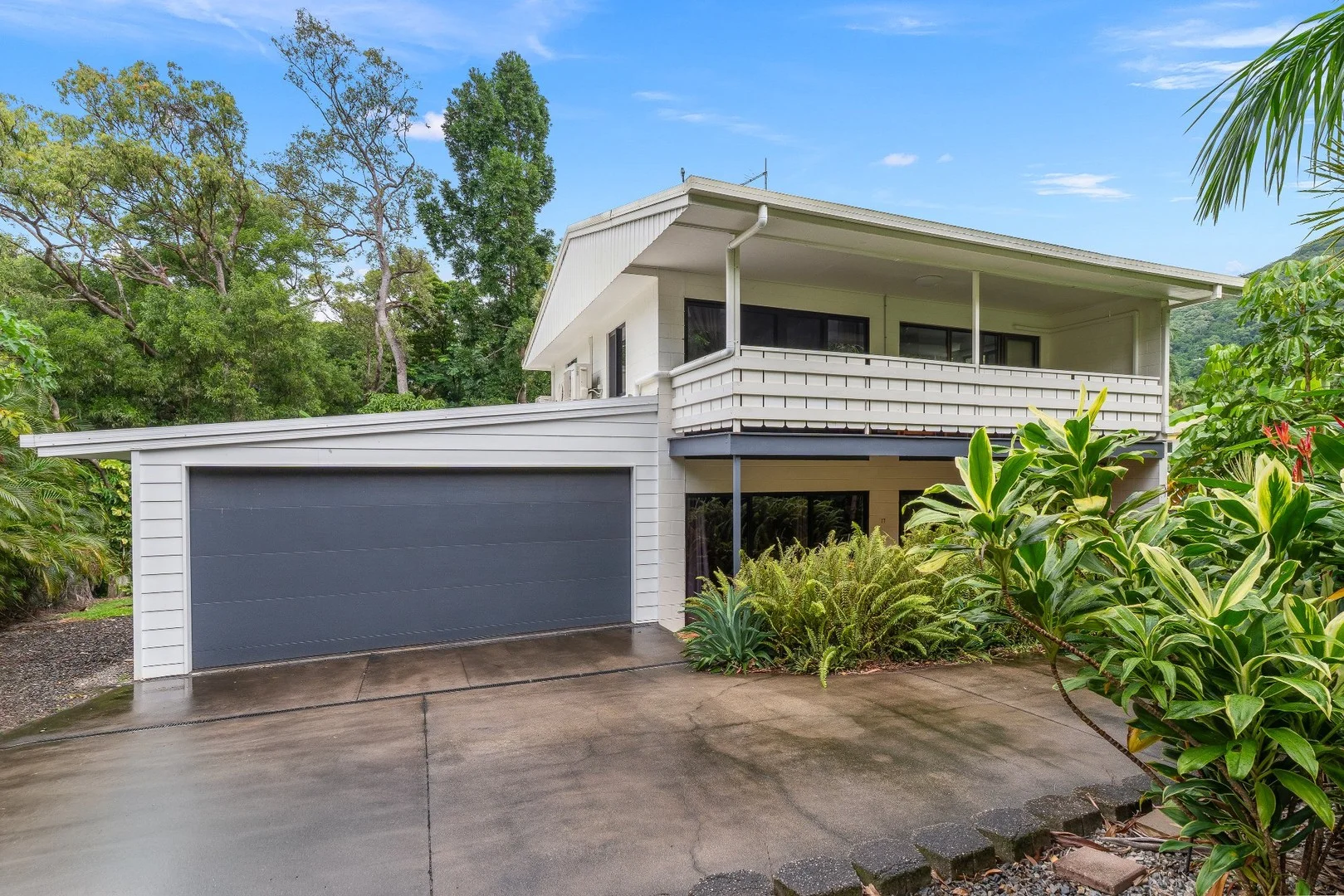 17 Buchan Street, Palm Cove QLD 4879