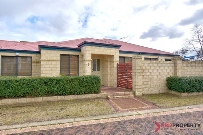 Picture of 1 Azennis Court, ASCOT WA 6104