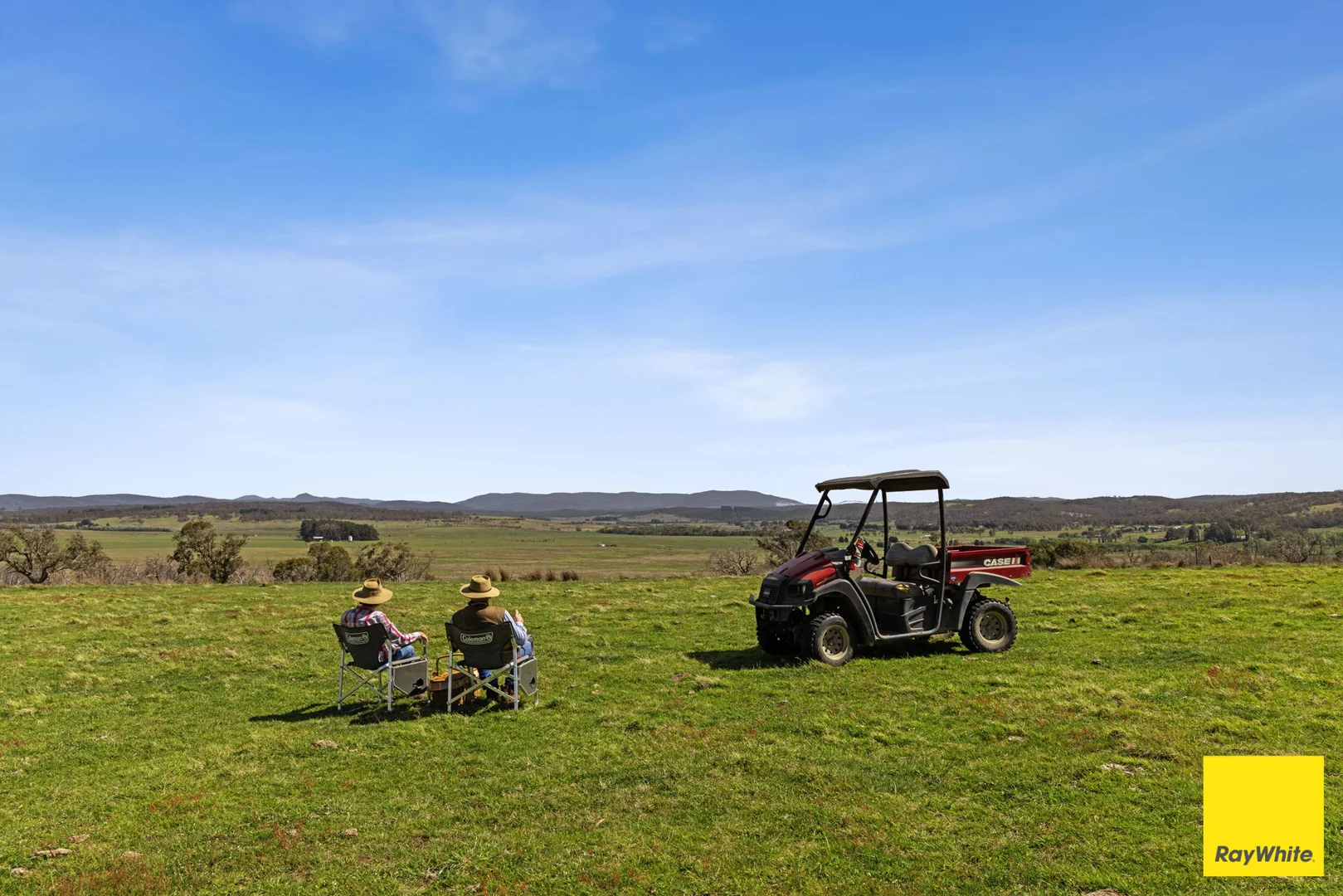 Image 15