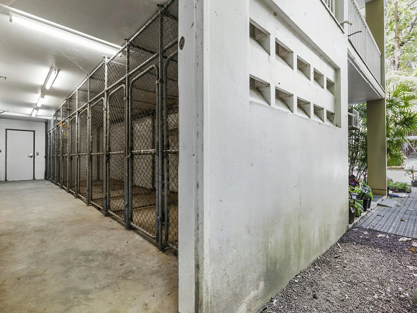 Image 12