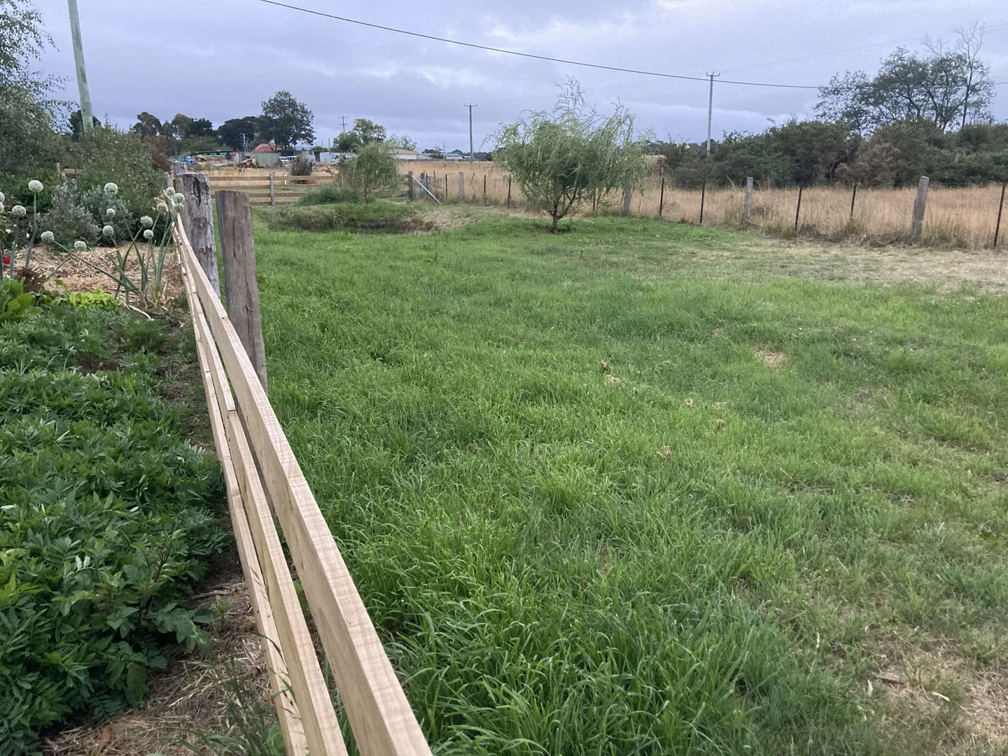 Image 23