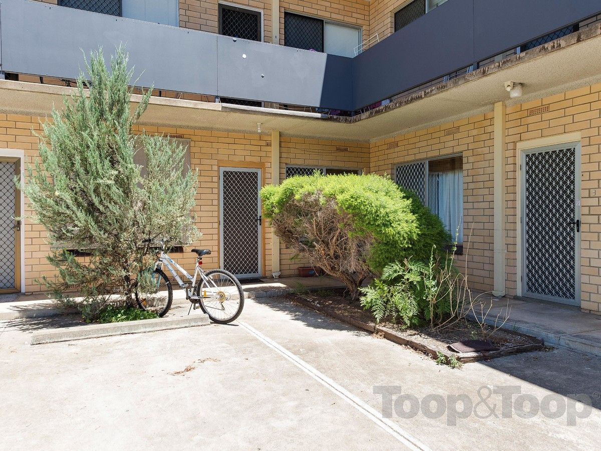 3/225 Anzac Highway, Plympton SA 5038, Image 1