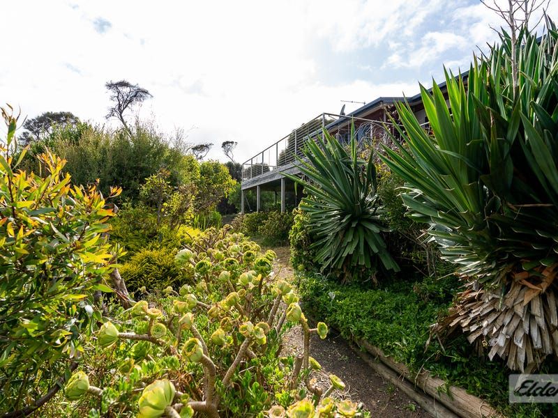 183 Port Davies Road, Emita TAS 7255, Image 1