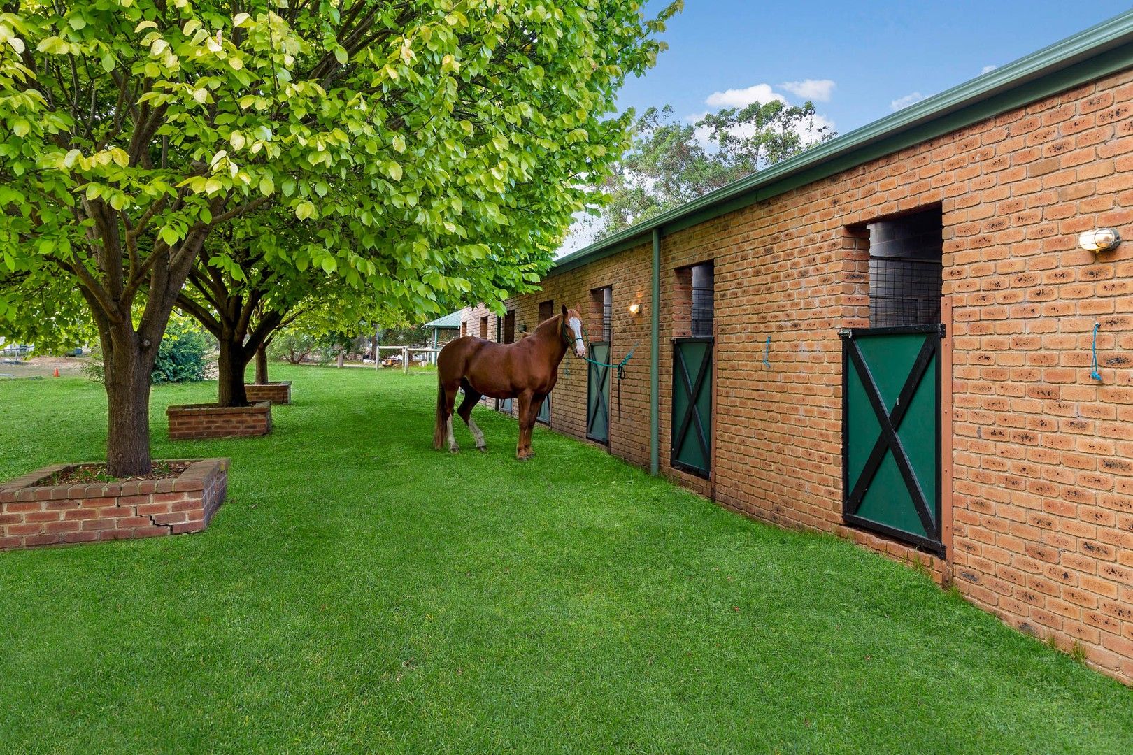 50 Highview Road, Skye VIC 3977 House for Sale Domain