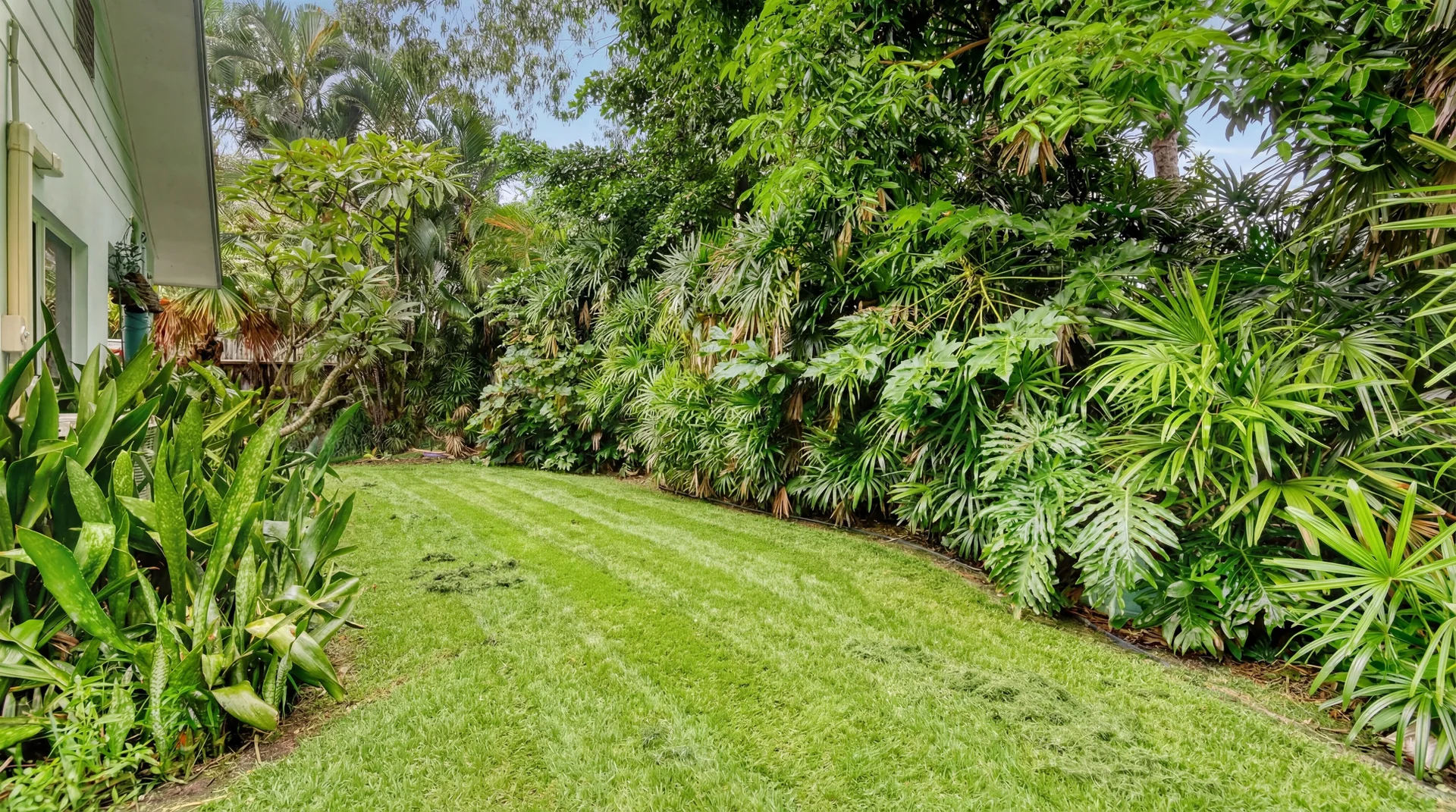 Additional image 9 of 2/25 Barrier Street, Port Douglas QLD 4877