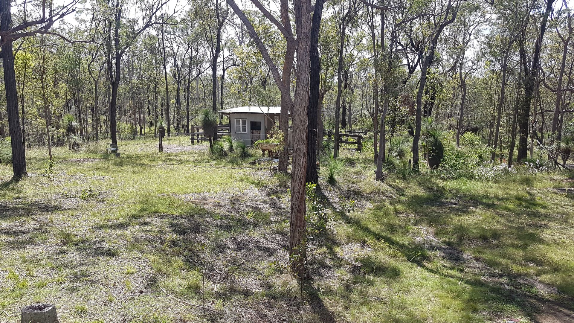 146 Michelles Road, Horse Camp QLD 4671, Image 2