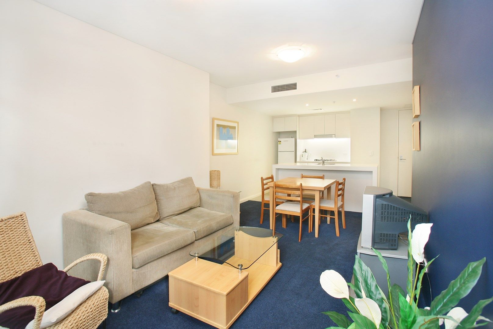 313/23 Shelley Street, Sydney NSW 2000, Image 0