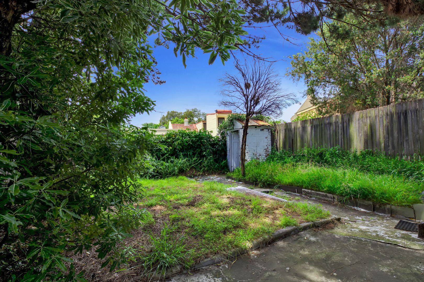 18 Ellen Street, Rozelle NSW 2039, Image 1