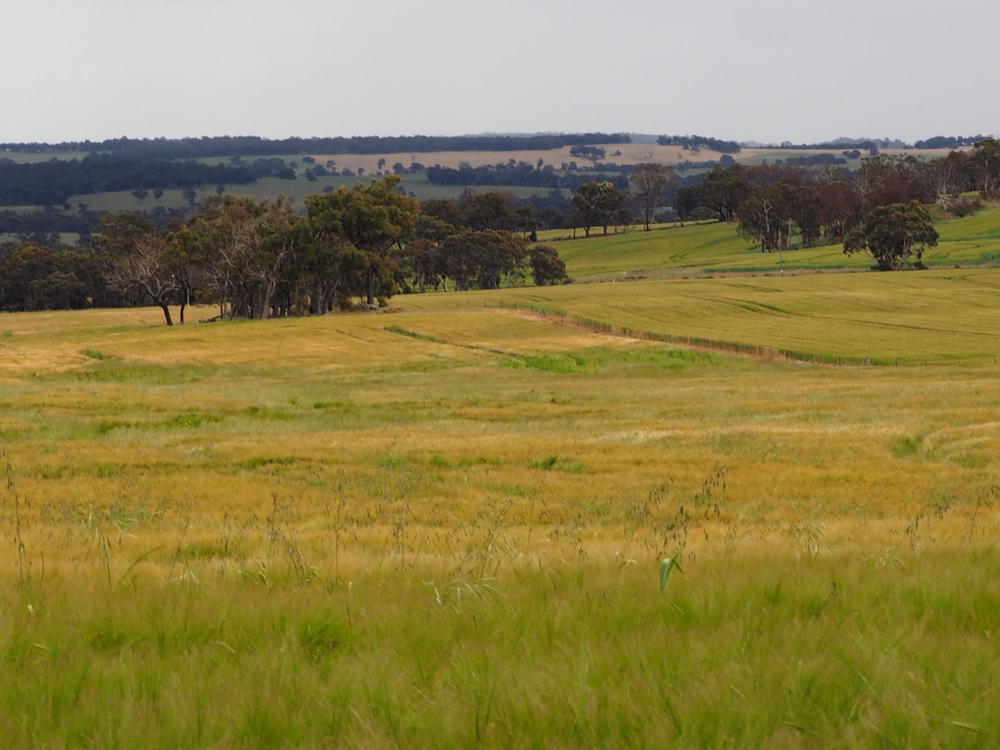 Manolini Road, Kojonup WA 6395, Image 1