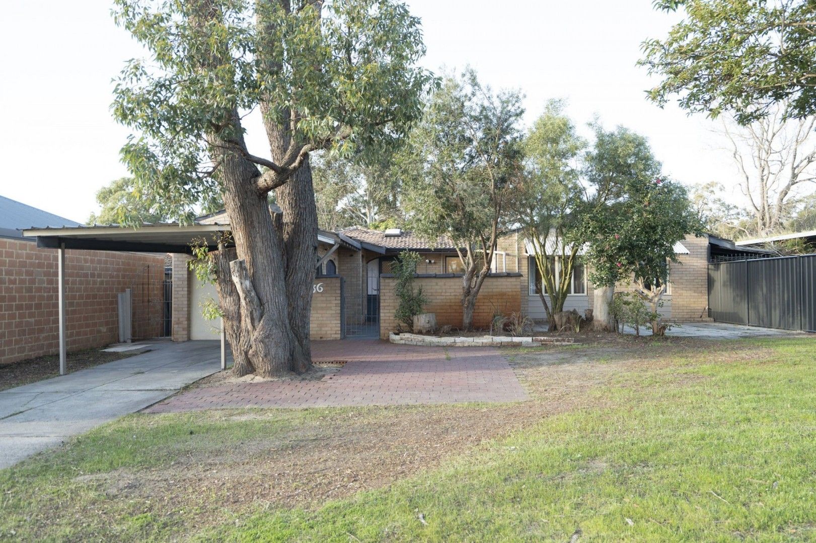 3 bedrooms House in 36 Terence Street GOSNELLS WA, 6110