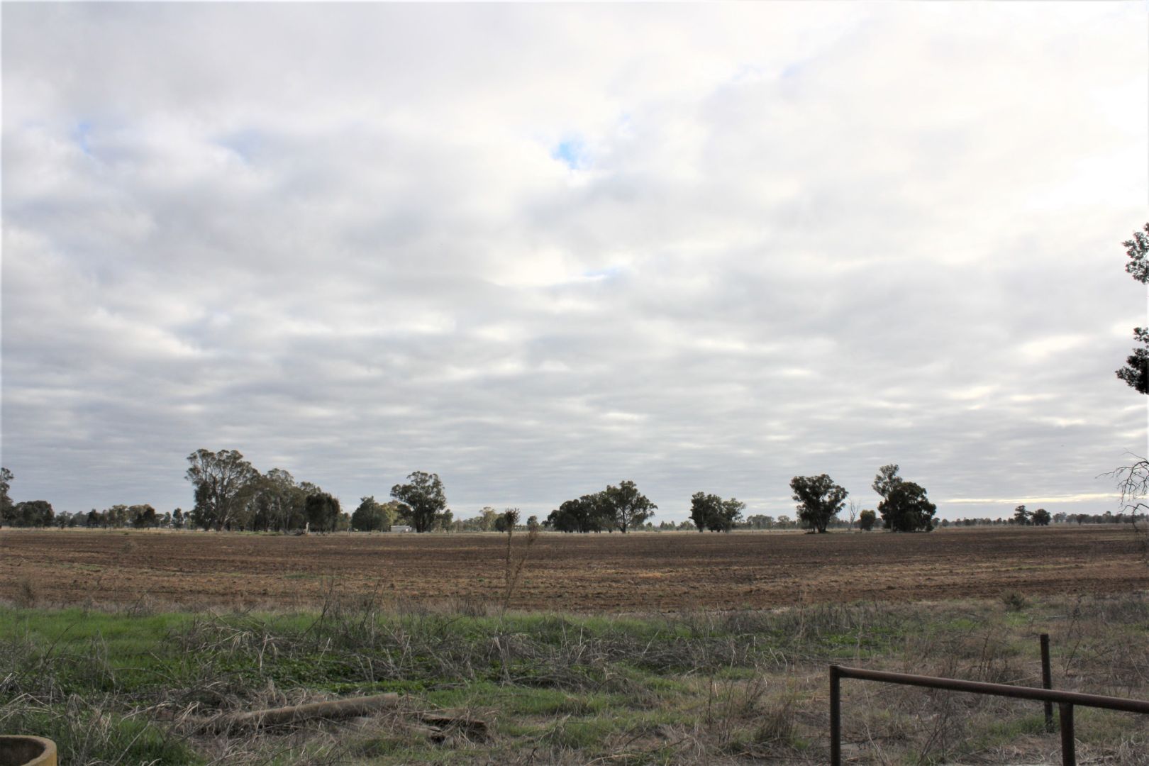 Lot 1254 Old Cobram Road, Berrigan NSW 2712, Image 2