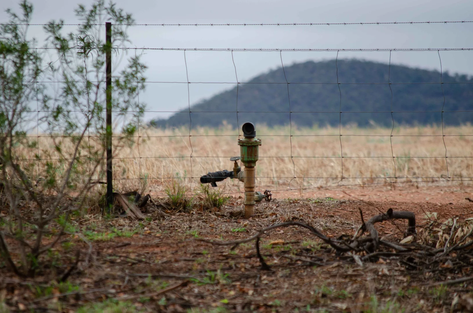 Additional image 9 of 83 Cornells Road, Condobolin NSW 2877