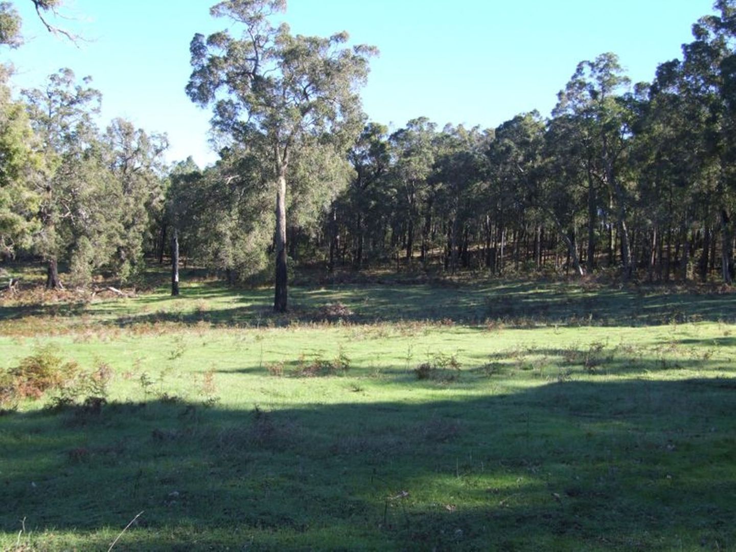 Lot 11 Russell Road, Balingup WA 6253 House for Sale 470,000