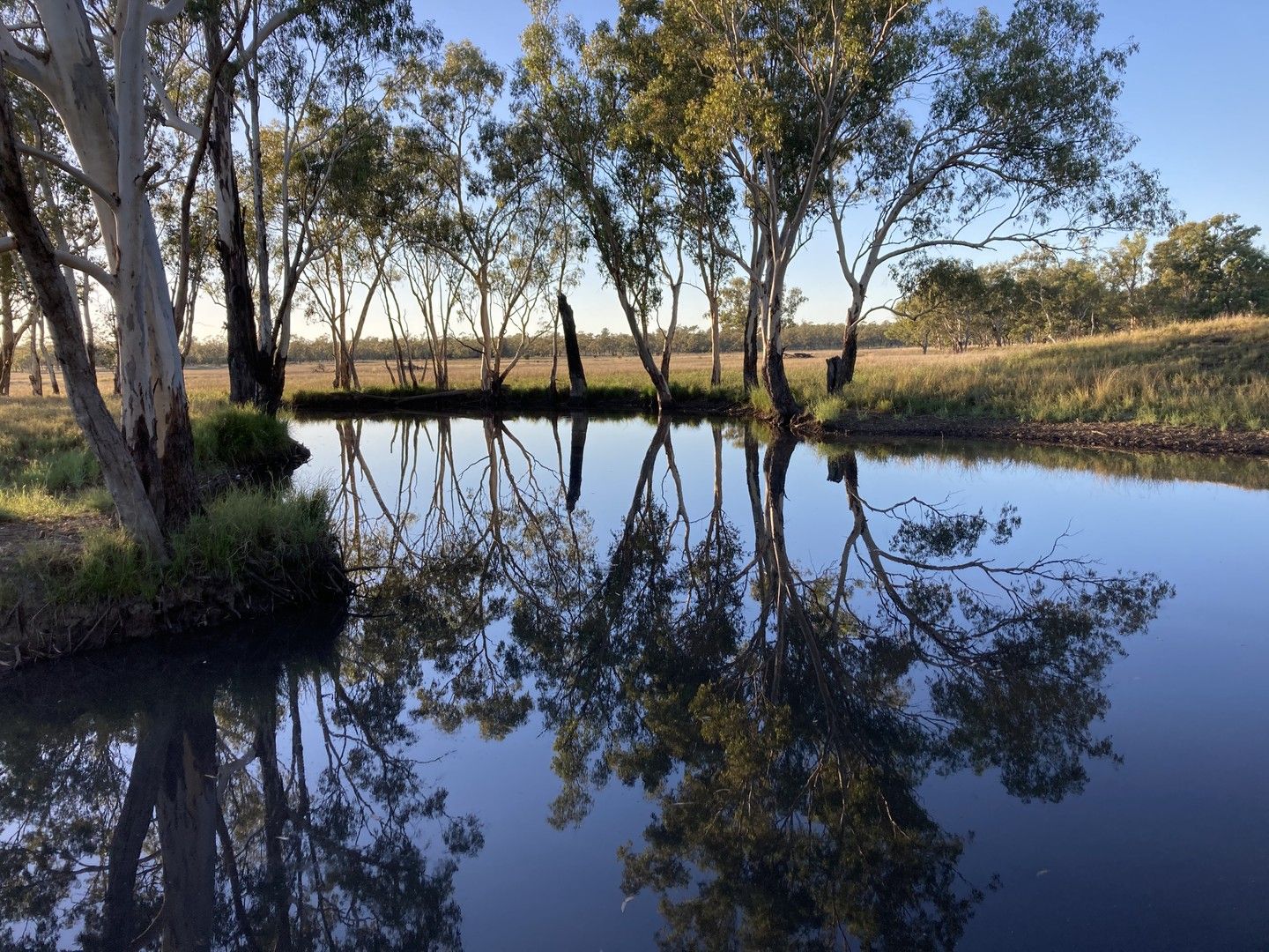 416 Nine Mile Road, Roma QLD 4455 Farm for Sale 4,350,000