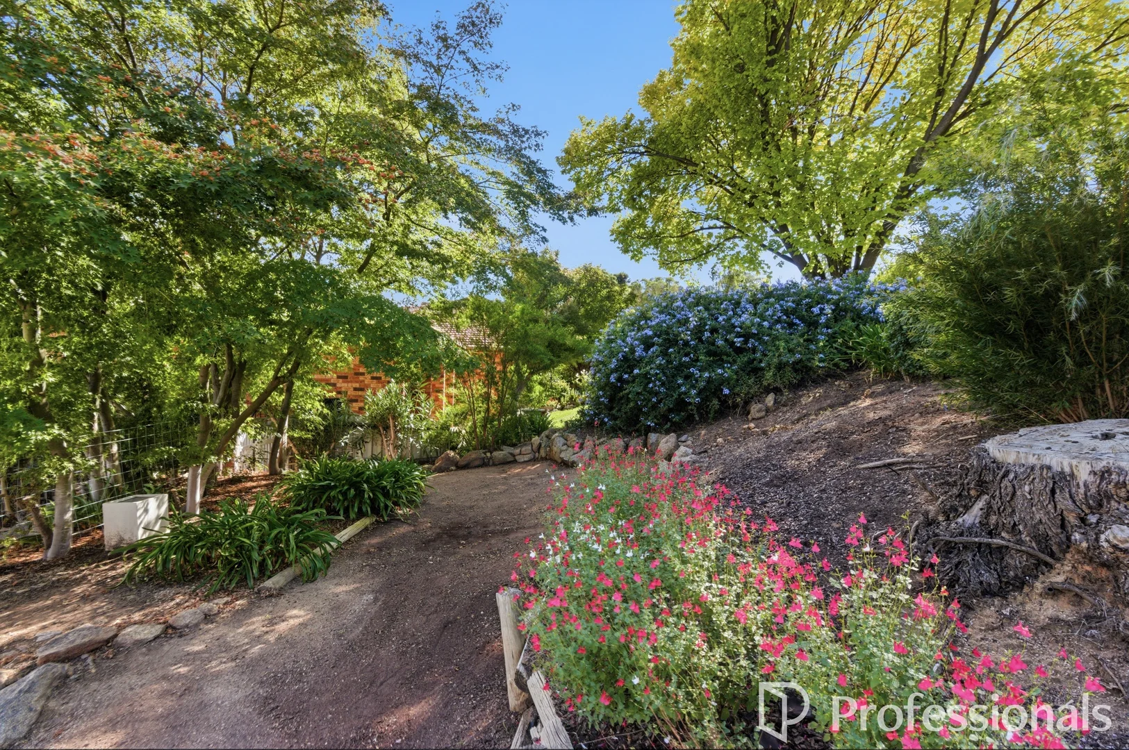 Additional image 30 of 29 Churchill Avenue, Kooringal NSW 2650