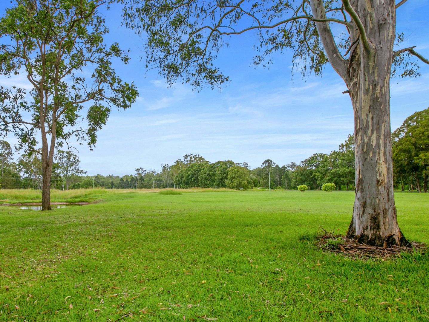 356 Eel Creek Road, Pie Creek QLD 4570, Image 1