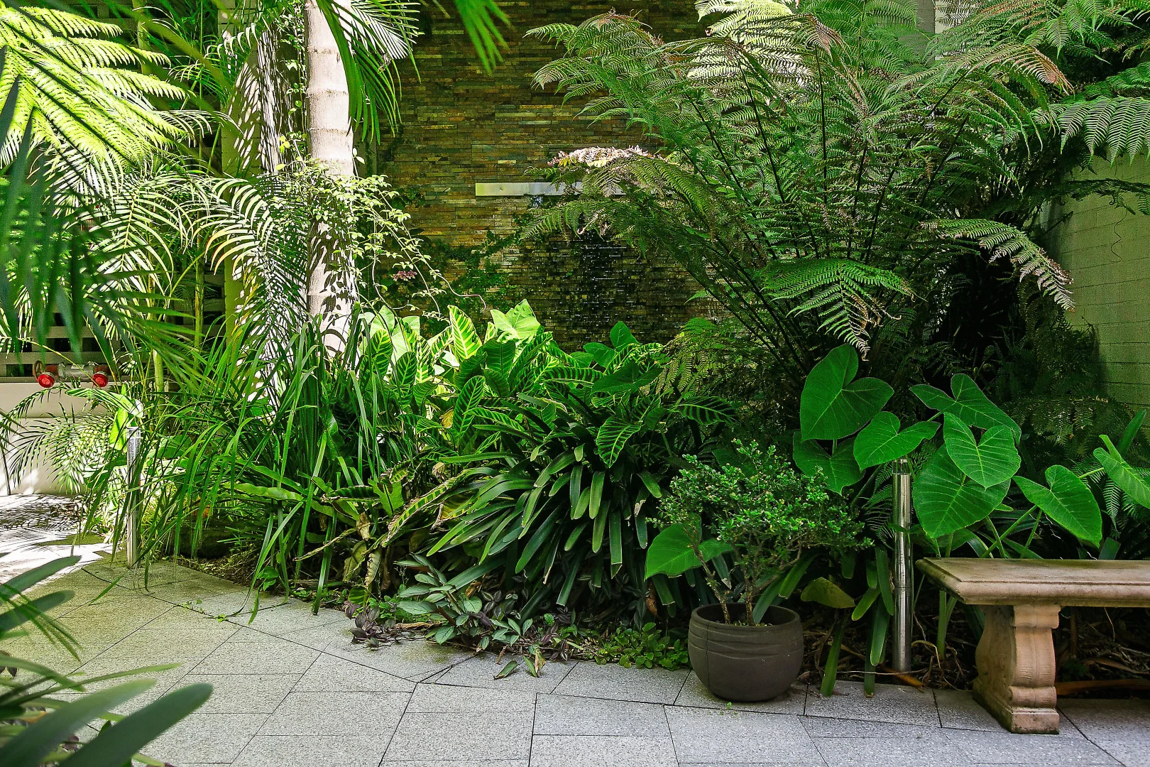 Additional image 9 of 2/26-34 McElhone Street, Woolloomooloo NSW 2011