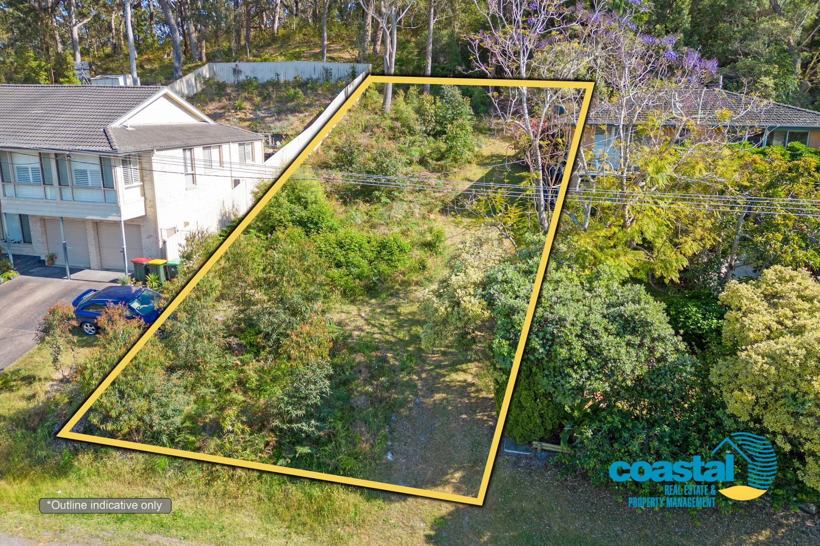 1303 Lemon Tree Passage Road, Lemon Tree Passage NSW 2319 Domain