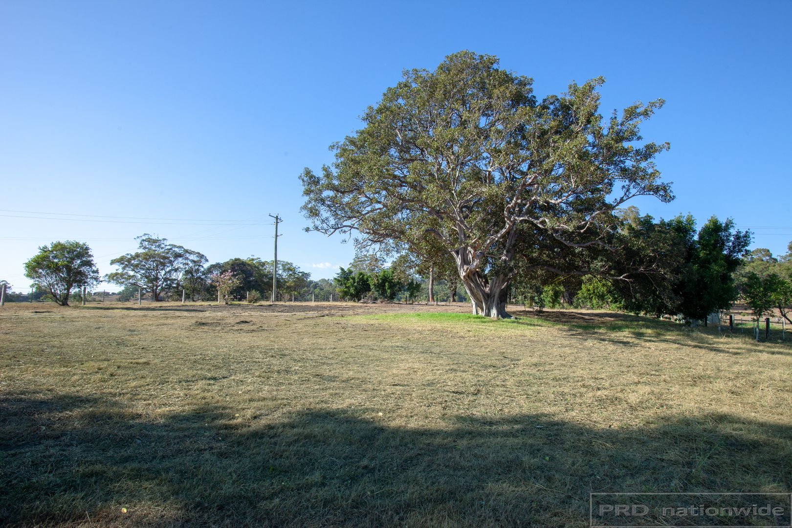 330 Black Hill Road, Black Hill NSW 2322, Image 2