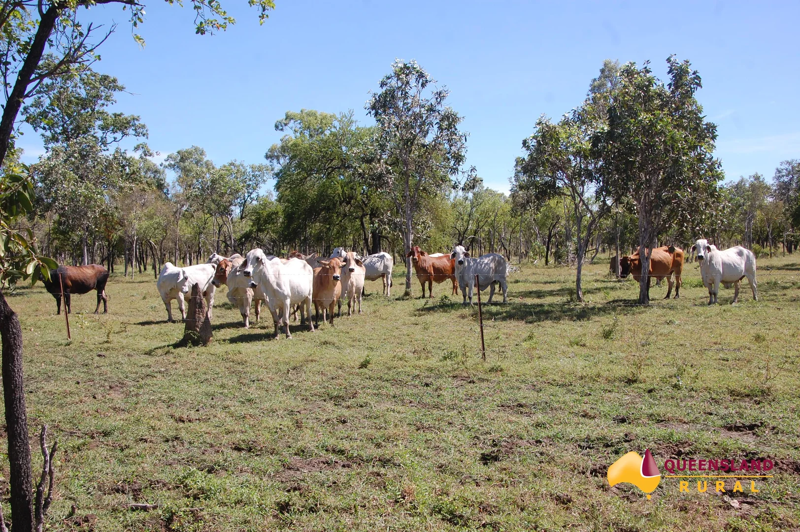 Additional image 9 of Normanton QLD 4890