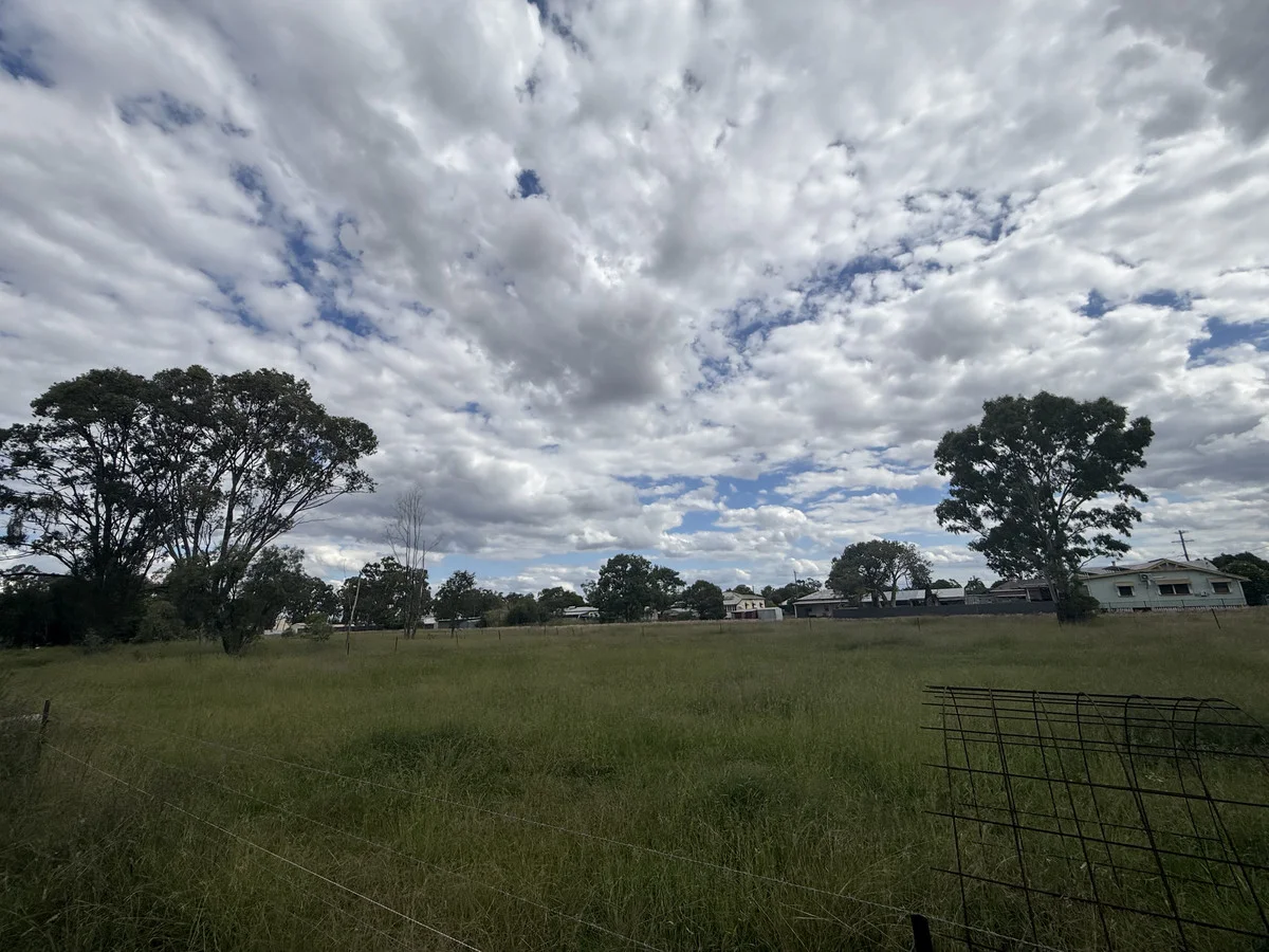 Image 10