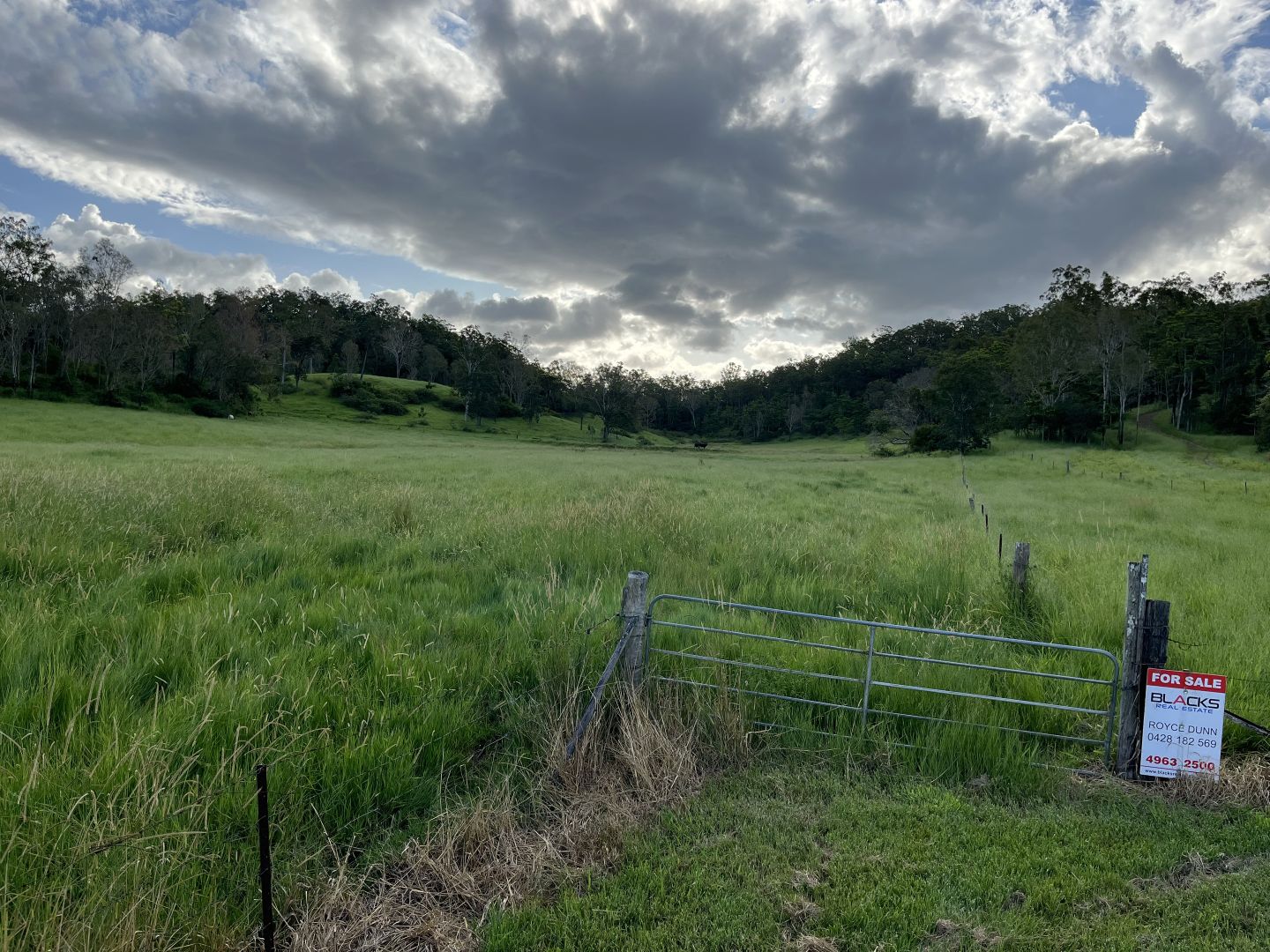 Lot 9 Mount Pollux Road, Gargett QLD 4741, Image 2