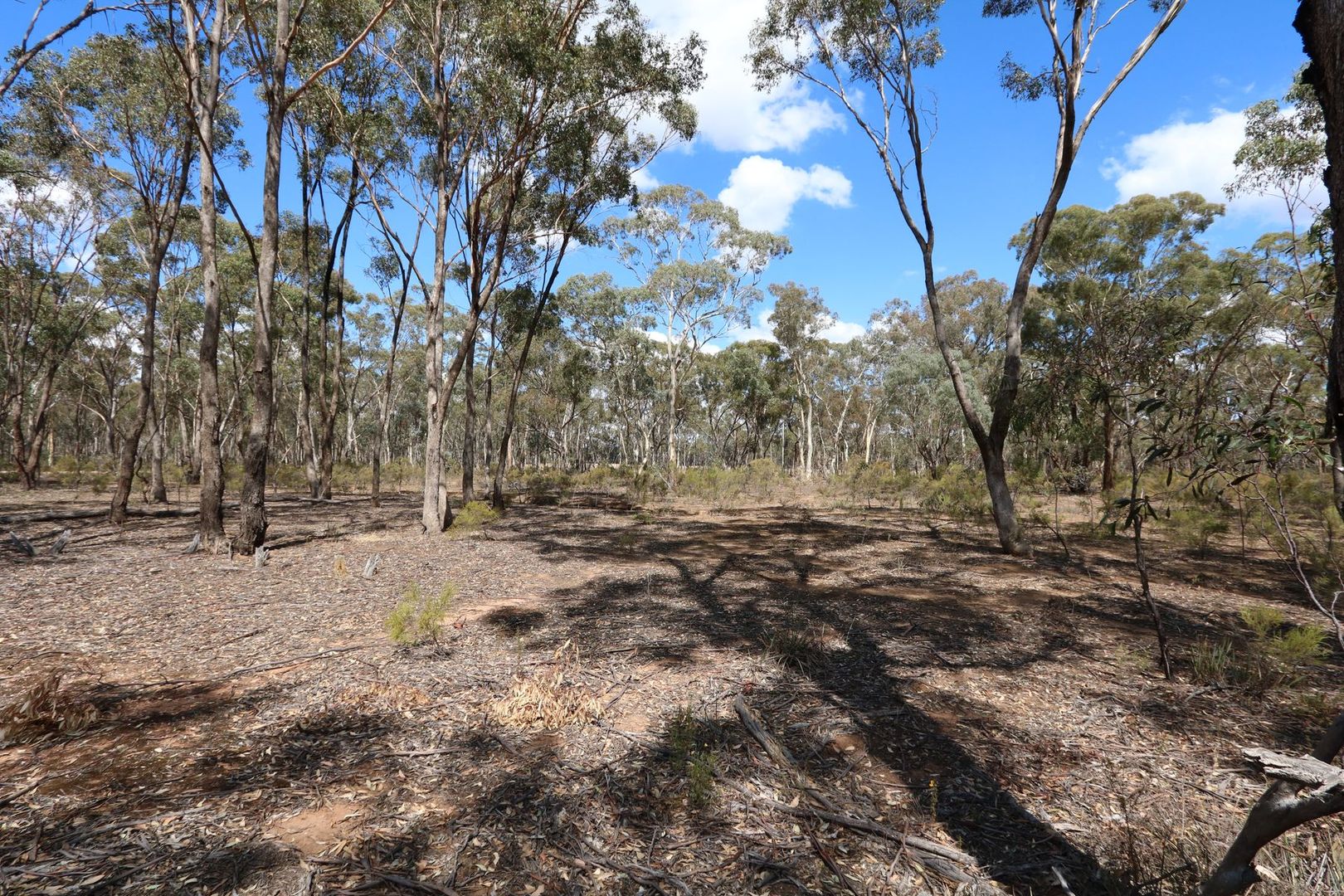 Lot 2, 207 Pekin Road, Bowenvale VIC 3465, Image 2