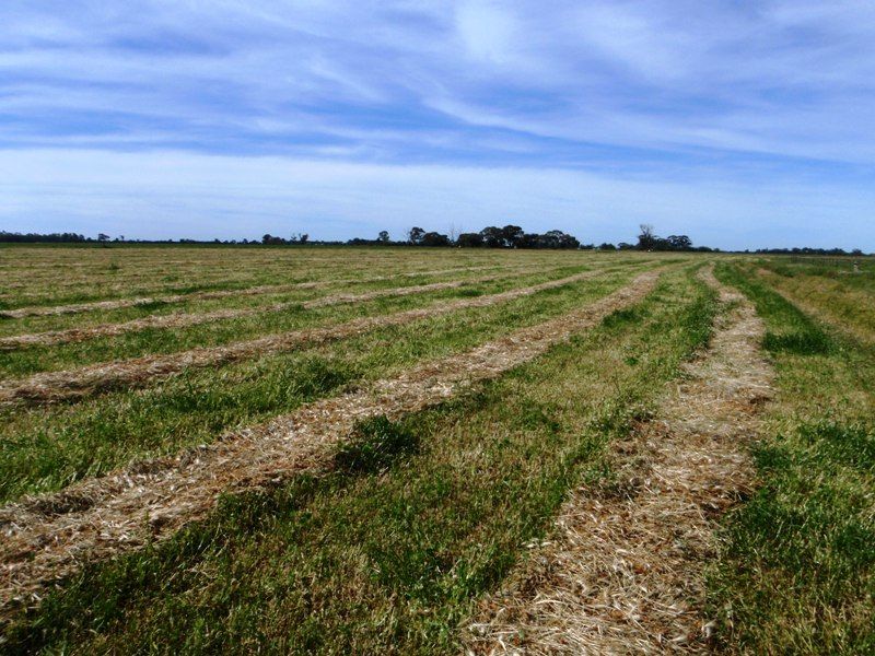 Riverina Highway, Berrigan NSW 2712, Image 2