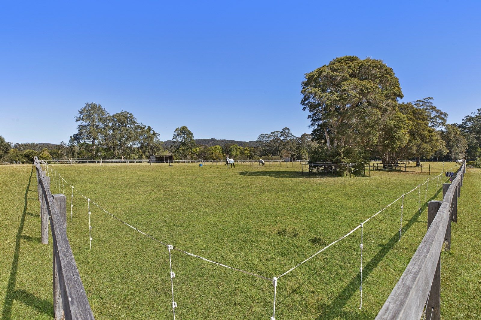 1509 Mandalong Road, Dooralong NSW 2259, Image 2